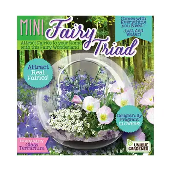 - Mini Fairy Triad - Набор для садоводства в помещении