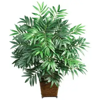 Зеленый бамбук с плетеной корзиной шелковое растение