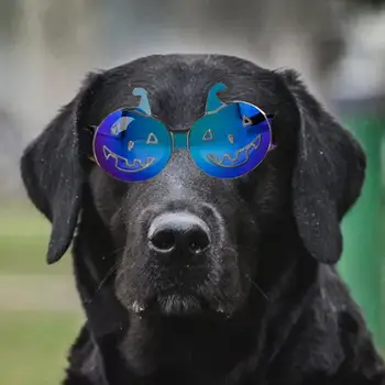 Очки для домашних животных с Эластичной тесьмой, Очки для собак в Губчатой Оправе, Стильные Солнцезащитные очки для собак, Ветрозащитные, Противотуманные, Уф-защита для маленьких