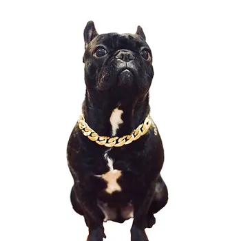 Французская собака Тедди Барго Bully- золотая цепочка, Ошейник для мелких и средних собак, ожерелье для домашних животных, ювелирные аксессуары, ошейники, шлейки и поводки