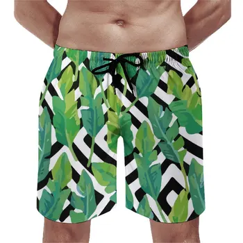 Шорты для серфинга с тропическими пальмами, летние шорты для серфинга с принтом зеленых листьев, Короткие штаны для бега, забавная графика, плавки больших размеров